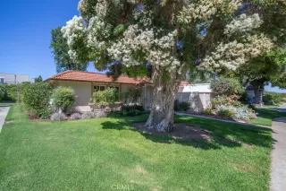 Photo #1: OC23131003 Listing