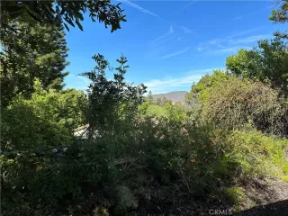 Photo #2: OC23134414 Listing