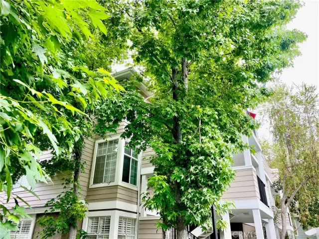 MLS: OC23144378 Condo For Sale