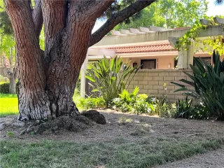 Photo #1: OC23156496 Listing