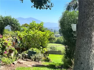 Photo #3: OC23156496 Listing