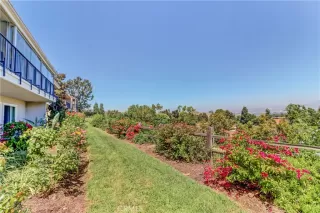 Photo #2: OC23159088 Listing