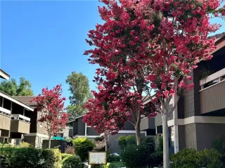 Photo #2: OC23169412 Listing 