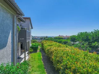 Photo #1: OC23177527 Listing 