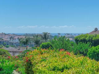 Photo #2: OC23177527 Listing 