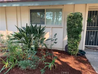 Photo #1: OC23189175 Listing 