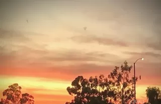 Photo #1: OC23192007 Listing 