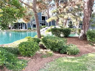 Photo #1: OC23198969 Listing 