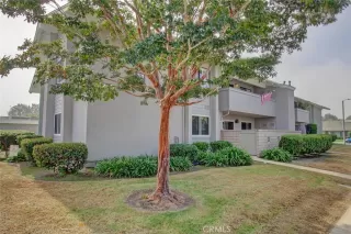 Photo #2: OC23199084 Listing