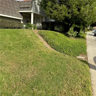 Photo #1: OC23216589 Listing 