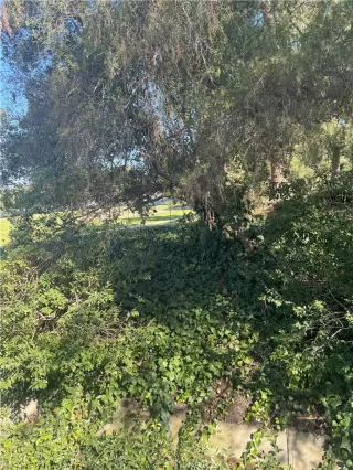 Photo #1: OC23219983 Listing 