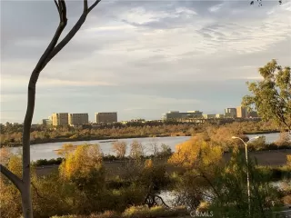 Photo #1: OC23225272 Listing 