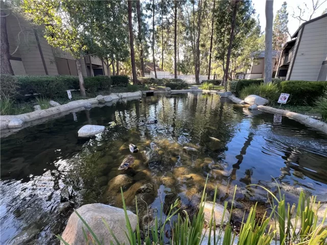 MLS: OC24007855 Condo For Sale