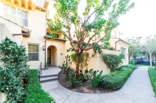 Photo #1: OC24008636 Listing