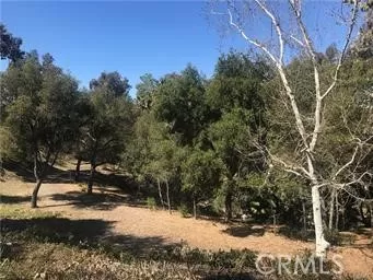 MLS: OC24011251 Condo For Sale