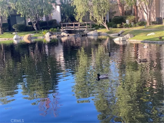 MLS: OC24013322 Condo For Sale