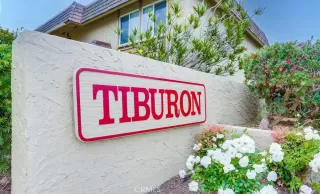 Photo #1: OC24018297 Listing 