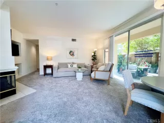 Photo #1: OC24025164 Listing 