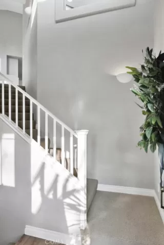 Photo #5: OC24025434 Listing 