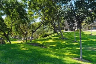 Photo #1: OC24036528 Listing 