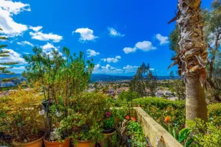 Photo #4: OC24047570 Listing 