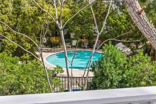 Photo #6: OC24049220 Listing 