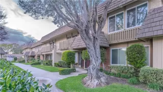 Photo #1: OC24056479 Listing 