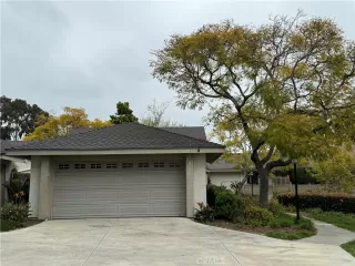 Photo #1: OC24073376 Listing 