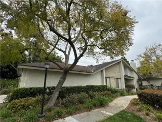 Photo #2: OC24073376 Listing 