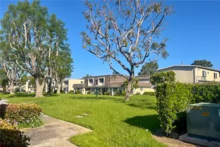 Photo #1: OC24088749 Listing 