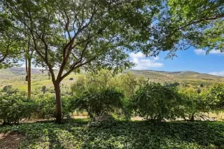 Photo #1: OC24091169 Listing 