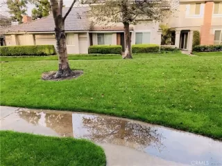 Photo #2: OC24092319 Listing 