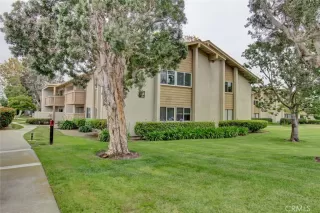 Photo #3: OC24100514 Listing 