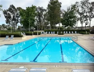 Photo #1: OC24105845 Listing 