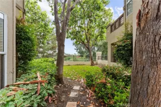 Photo #1: OC24108643 Listing 