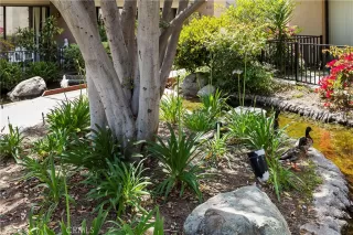 Photo #1: OC24111067 Listing