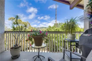 Photo #4: OC24118906 Listing 