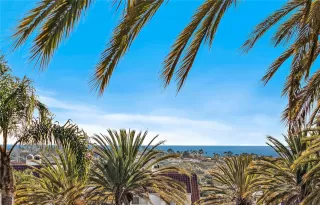 Photo #4: OC24119659 Listing