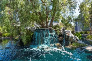 Photo #6: OC24136816 Listing 