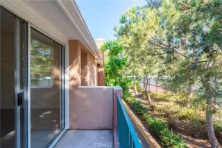 Photo #2: OC24139649 Listing