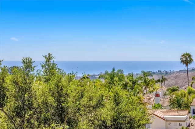 MLS: OC24142500 Condo For Sale