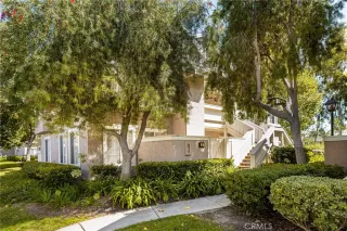 Photo #1: OC24154295 Listing 