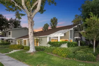 Photo #1: OC24155005 Listing 