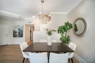 Photo #4: OC24157258 Listing 