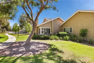 Photo #3: OC24167404 Listing