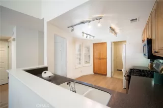 Photo #1: OC24175089 Listing