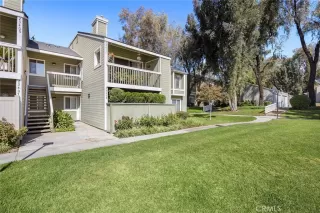 Photo #1: OC24175322 Listing