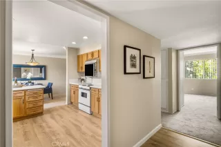 Photo #1: OC24176260 Listing 