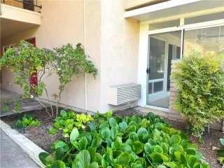 Photo #3: OC24176300 Listing