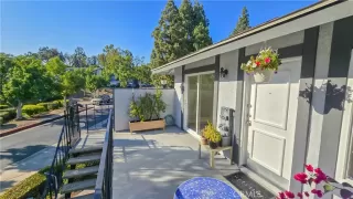 Photo #1: OC24179061 Listing 